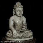 lastbudda-clight v-flickr-katze-3018 38826632995 o
